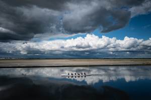 bedrijfsfotografie en storytelling voor organisaties